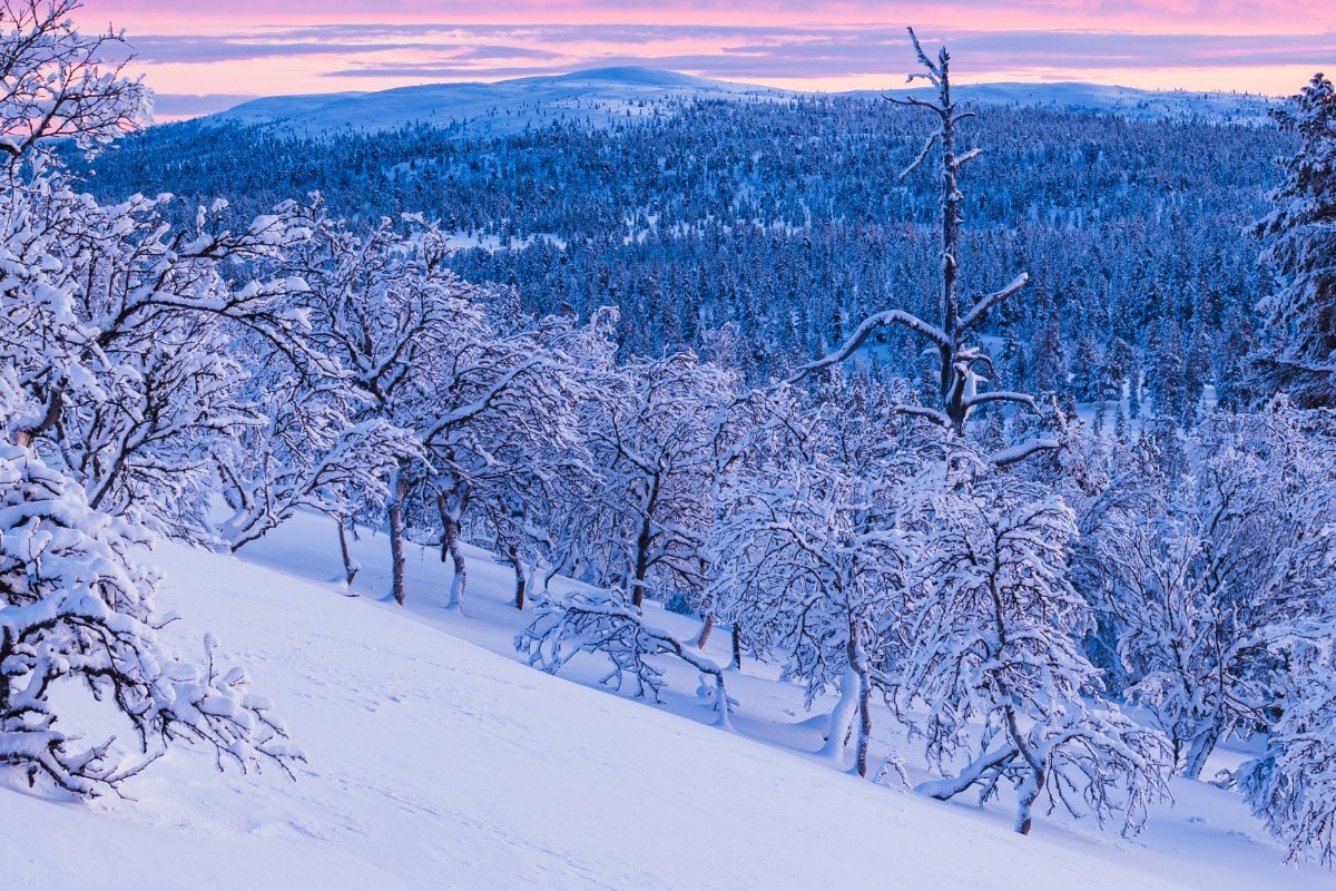 Τα ζώδια σήμερα 10/1: Η μέρα δεν θέλει κόντρες