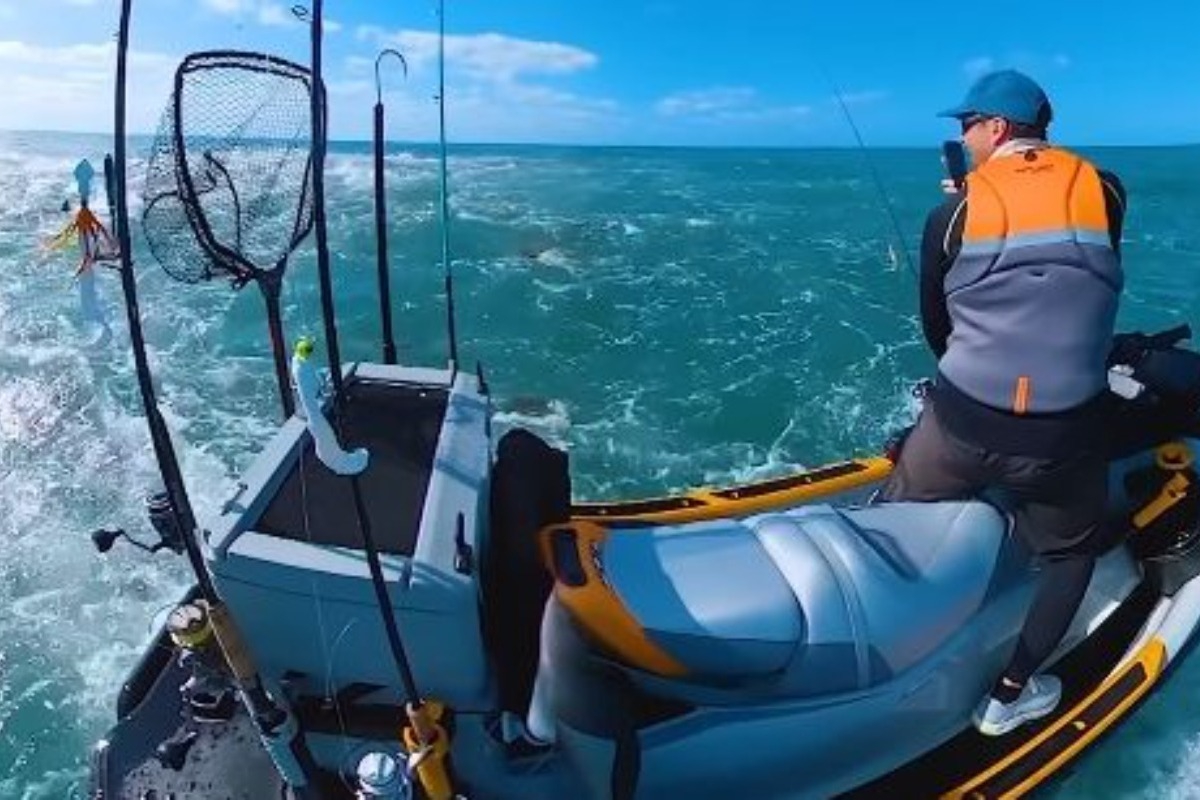 ΗΠΑ: Σέρφερ ψάρεψε μέσα σε πλήθος καρχαρίων ‑ «Ήταν περικυκλωμένος» ‑ Δείτε βίντεο