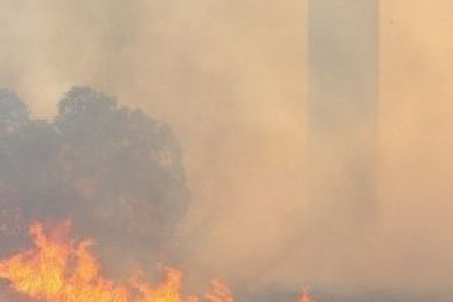Ελληνική Πνευμονολογική Εταιρεία: Προσοχή στον καπνό και τα αιωρούμενα σωματίδια - Βασικές οδηγίες σε συνθήκες επιβάρυνσης της ατμόσφαιρας από καπνό φωτιάς