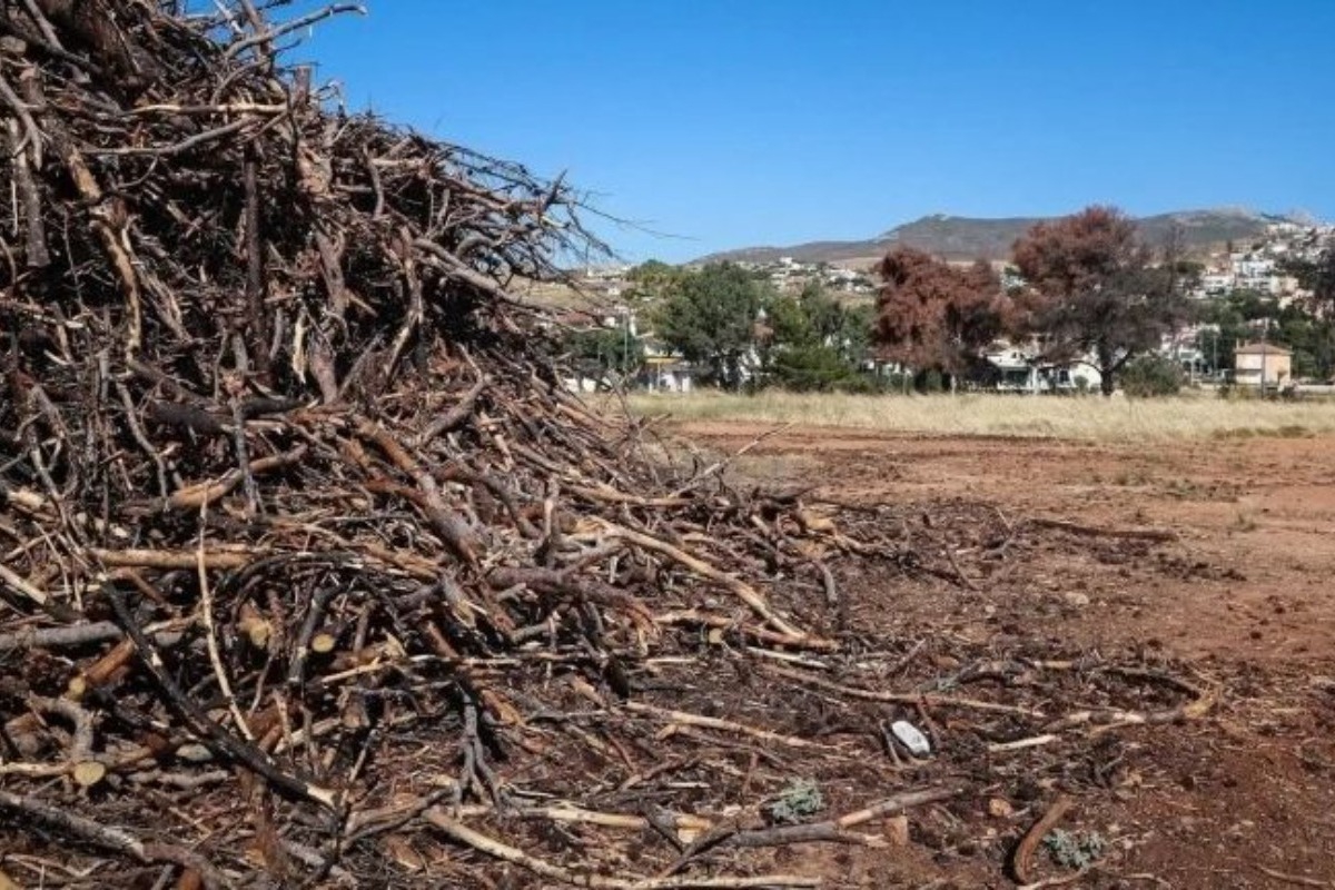 Ακαθάριστα οικόπεδα: Νέοι κανόνες και πρόστιμα – Τι αλλάζει με τον νόμο για την πυροπροστασία - Σημαντικές αλλαγές στο πλαίσιο για τον καθαρισμό οικοπέδων και την πρόληψη πυρκαγιών φέρνει νέα νομοθετική ρύθμιση, με αυστηρότερους ελέγχους αλλά και