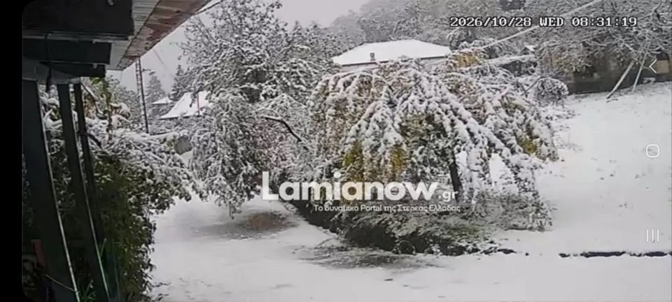 Φωτογραφία Καστανιά, Κώστας Ρουσκας
