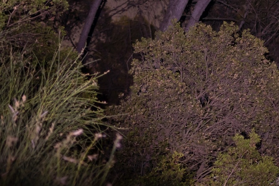 Θρίλερ με τη σορό που εντοπίστηκε στη Χαλκιδική: Παραμένει αγνώστων στοιχείων, σήμερα η εξέτασή της από ιατροδικαστή