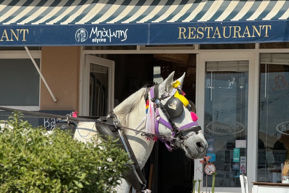 Babis Aegina Resto: Ένα εστιατόριο αφιερωμένο στα θαλασσινά στην Αίγινα