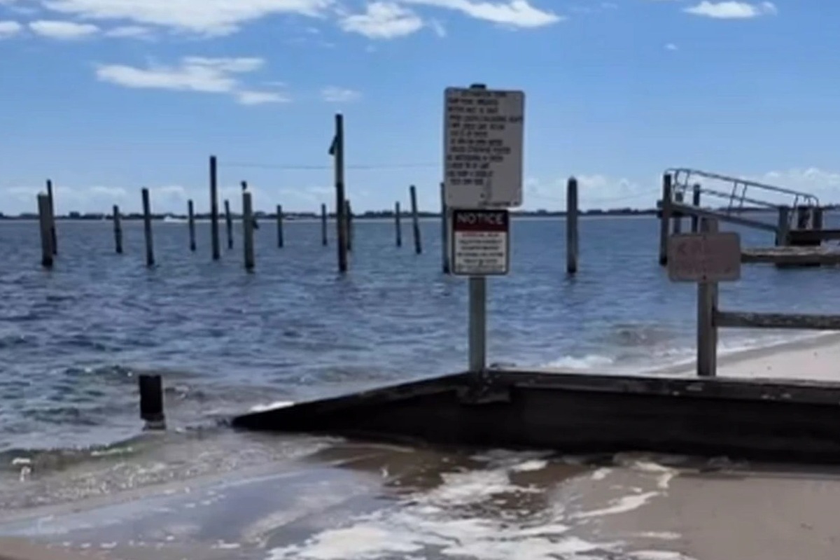 Συναγερμός στη Νέα Υόρκη για σαρκοφάγο βακτήριο στα νερά του Long Island – Μπορεί να προκαλέσει θάνατο σε 48 ώρες - Ειδικοί συνδέουν την εξάπλωση του Vibrio vulnificus με την άνοδο της θερμοκρασίας των νερών και τη ρύπανση με άζωτο