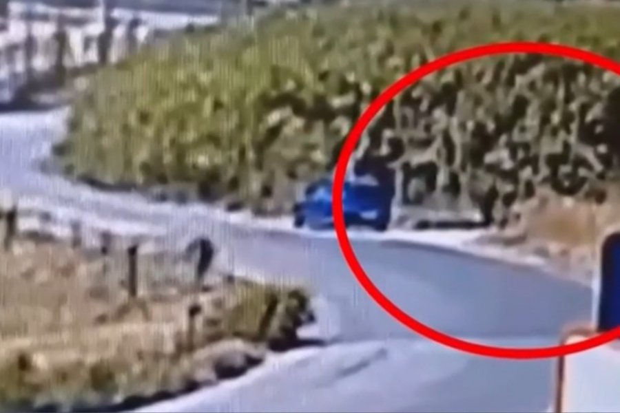 Κακουργηματική δίωξη στον 59χρονο για έξι φωτιές στη Σίνδο: «Τις έβαζα για να ξεδίνω από τη δουλειά» - Κάμερα ασφαλείας κατέγραψε μία από τις εμπρηστικές ενέργειες – Την Παρασκευή η απολογία του