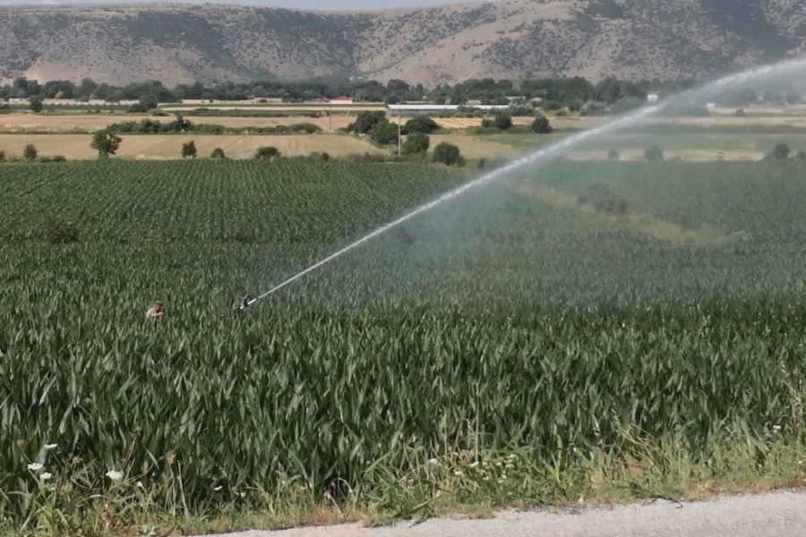 Καμπανάκι για την Θεσσαλία από τους επιστήμονες: Κάτω από τα χωράφια το νερό λιγοστεύει επικίνδυνα - Η συνεχής πτώση του υδροφόρου ορίζοντα, η υπερεκμετάλλευση των υπόγειων υδάτων και η ανορθολογική χρήση του αρδευτικού νερού δημιουργούν σοβαρούς κινδ