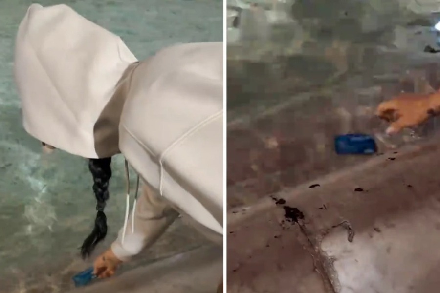 Η Κέιτι Πέρι έβαλε την πιστωτική της κάρτα στη Φοντάνα ντι Τρέβι γιατί δεν είχε ψιλά