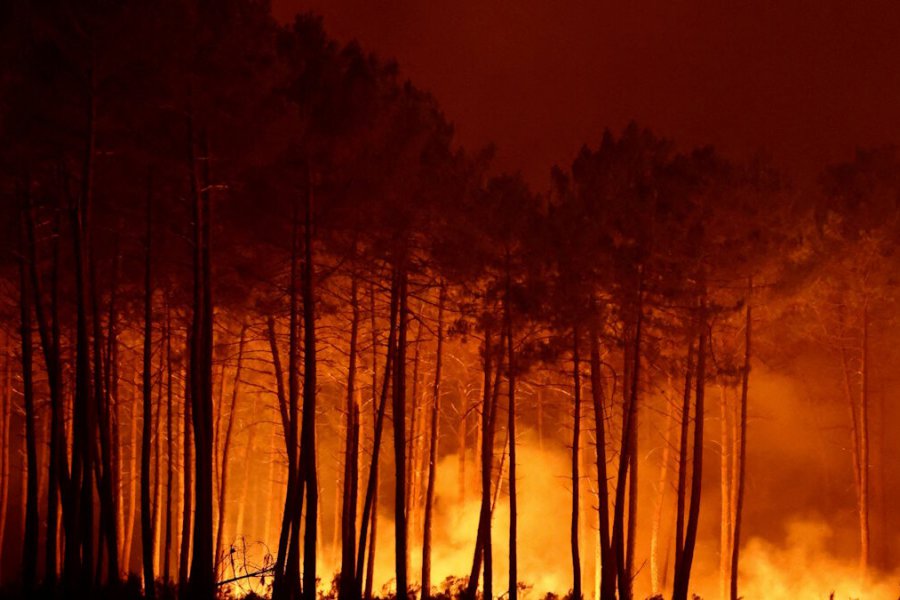 Φωτιές στη Γαλλία: Μάχη να μην καεί το Μπορντό - Αποκαρδιωτικές φωτογραφίες
