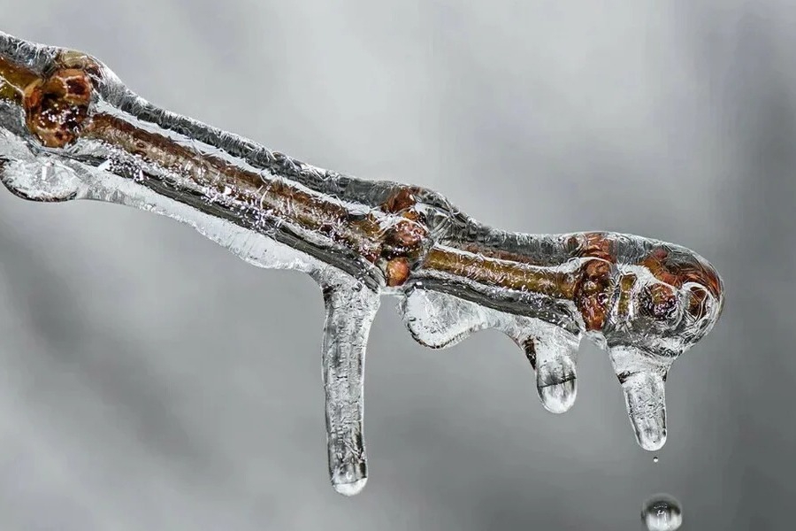 Καιρός ‑ Μαρουσάκης: Έρχεται νέο κύμα ψύχους με τσουχτερό κρύο και χιόνια