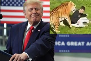 Donald Trump: Πόσταρε το βίντεο της τίγρης που σκότωσε 23χρονο ‑ Έξαλλη η οικογένεια