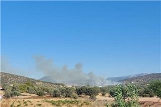 Φωτιά στα Καλύβια ‑ Μεγάλη κινητοποίηση της Πυροσβεστικής