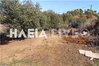 Θρίλερ στην Αμαλιάδα: Δύο αδέλφια έθαψαν τη μητέρα τους σε ξένο χωράφι, δίπλα σε σκύλο