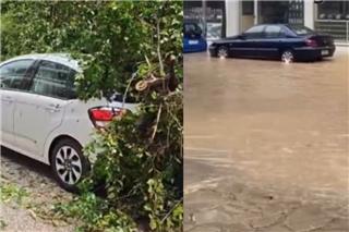Ιωάννινα: Πλημμύρισαν οι δρόμοι από την έντονη βροχόπτωση και το χαλάζι ‑ Δέντρο καταπλάκωσε ΙΧ