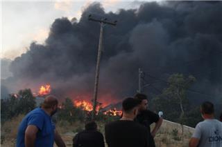 Φωτιά Ωραιόκαστρο: Εκκενώσεις οικισμών, εκρήξεις και ζημιές σε εργοστάσια και βιοτεχνίες