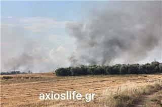 Φωτιά τώρα στον Βαθύλακκο Θεσσαλονίκης, σηκώθηκαν τρία εναέρια