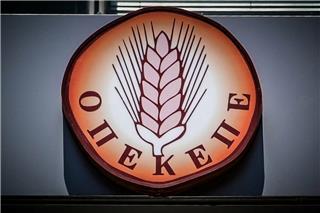 ΟΠΕΚΕΠΕ: Στο αρχείο η δικογραφία για Αθανασίου και Χατζηβασιλείου