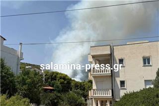Οριοθετήθηκε η πυρκαγιά στα Σελίνια της Σαλαμίνας