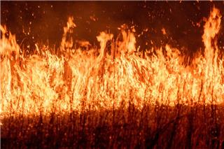 Παραμένει πολύ υψηλός κίνδυνος φωτιάς την Παρασκευή – Οι περιοχές που είναι στο «πορτοκαλί»