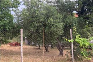 Οικογενειακή τραγωδία στη Θεσσαλονίκη: Ο 30χρονος σκότωσε με κατσαβίδι τον 67χρονο πατέρα του