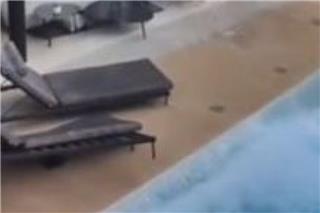 Βενεζουέλα: Συγκλονιστικό βίντεο από το χτύπημα των 7,5 Ρίχτερ στην Λα Γκουάιρα ‑ Αδειασε πισίνα