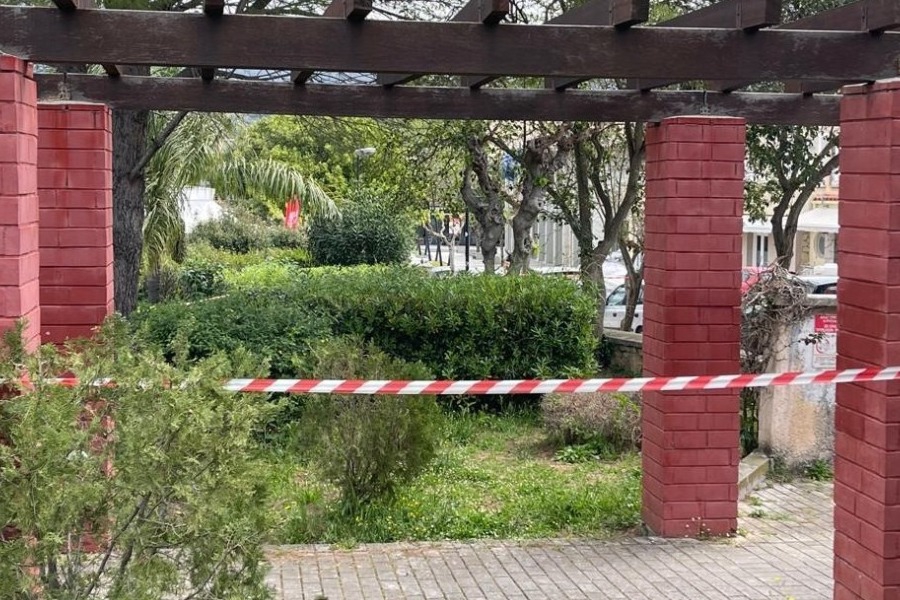 Κεφαλονιά: Γιατί δεν μετέφεραν την Μυρτώ στο νοσοκομείο οι 3 κατηγορούμενοι - «Περιμέναμε να την χτυπήσει ο αέρας να συνέλθει...» - Τα δραματικά λεπτά που εκτυλίχθηκαν στο Αργοστόλι και το τραγικό τέλος της 19χρονης