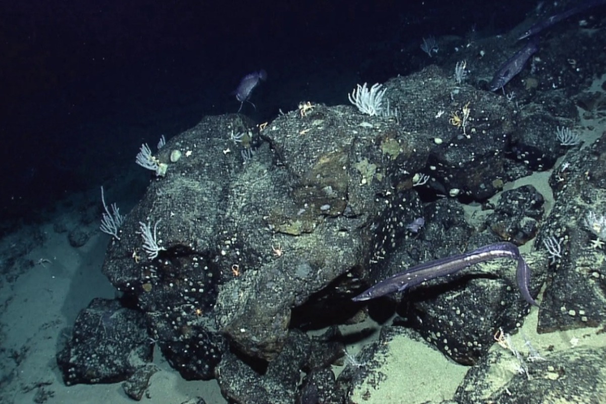 Η NASA χαρτογράφησε τον βυθό της Γης από το διάστημα και ανακάλυψε άγνωστα στοιχεία που αλλάζουν τα δεδομένα