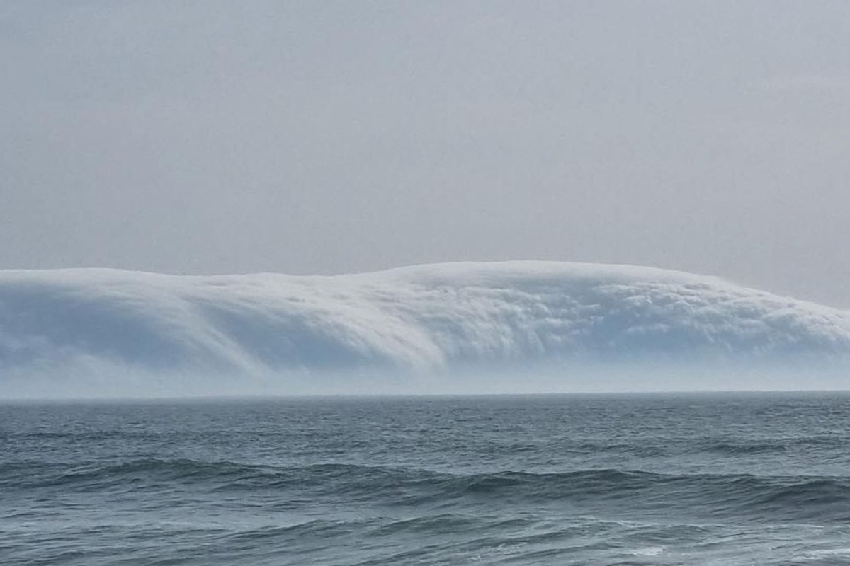 Η Μεσόγειος έχει καθυστερήσει ένα τσουνάμι - 100% να συμβεί μέσα σε 30 χρόνια λένε οι επιστήμονες - Στην εκπαίδευση και την «ανάγνωση» των προειδοποιητικών σημαδιών ενός τσουνάμι εστιάζουν οι ειδικοί