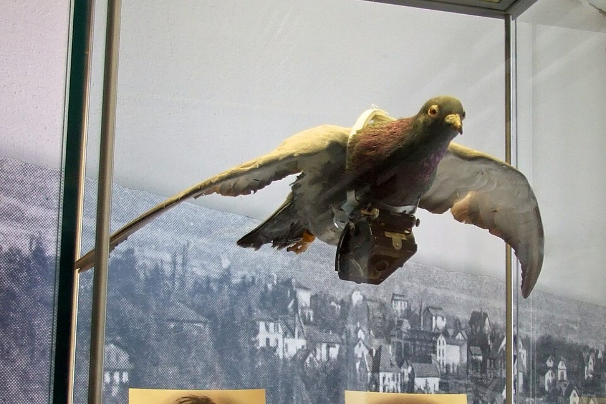 Σήμερα έμαθα: Τα drones του 1900