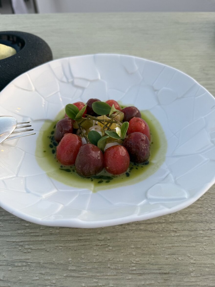 ntomatinia