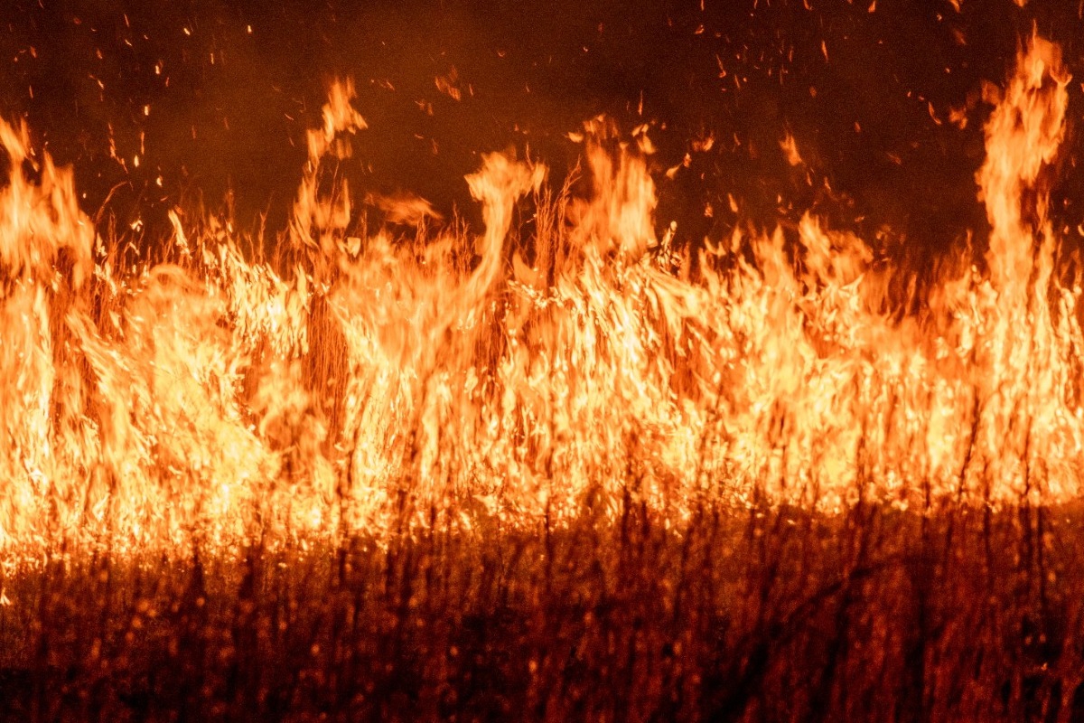 Παραμένει πολύ υψηλός κίνδυνος φωτιάς την Παρασκευή – Οι περιοχές που είναι στο «πορτοκαλί» - Σε κατάσταση αυξημένης επιφυλακής παραμένουν πολλές περιοχές της χώρας και την Παρασκευή