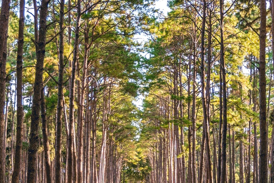 Τα ζώδια σήμερα 18/1: Δεν χρειάζεται να αποδείξεις τίποτα