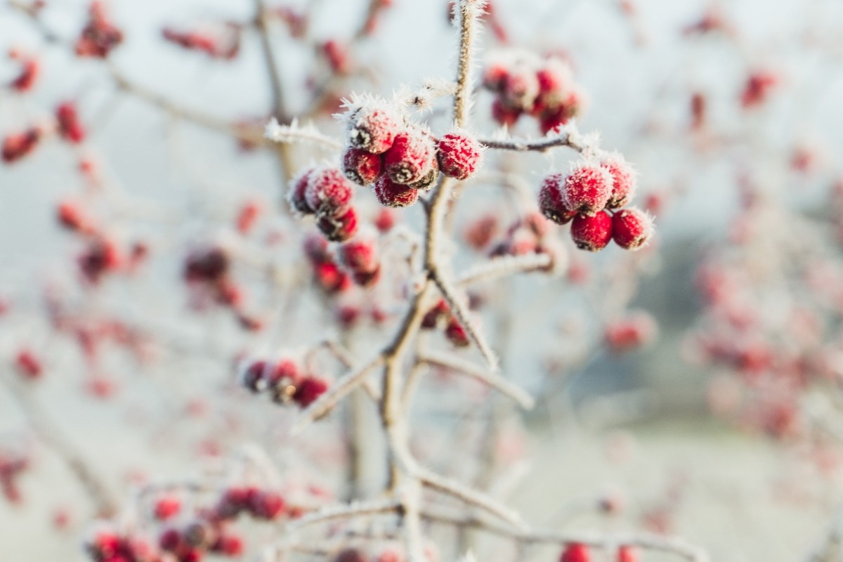 Τα ζώδια σήμερα 4/2: Ένα συναίσθημα βαθαίνει