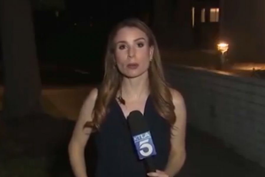 Ποια δημοσιογράφος έδινε ζωντανό ρεπορτάζ με μια κατσαρίδα πάνω της ‑ και πώς αντέδρασε