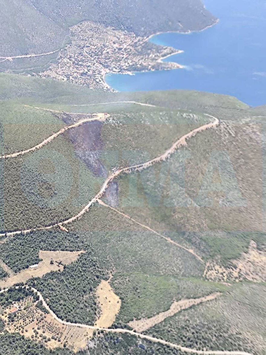 Προφυλακίστηκαν ο δήμαρχος Στυλίδας και δύο ακόμη κατηγορούμενοι για την πυρκαγιά στη Βοιωτία