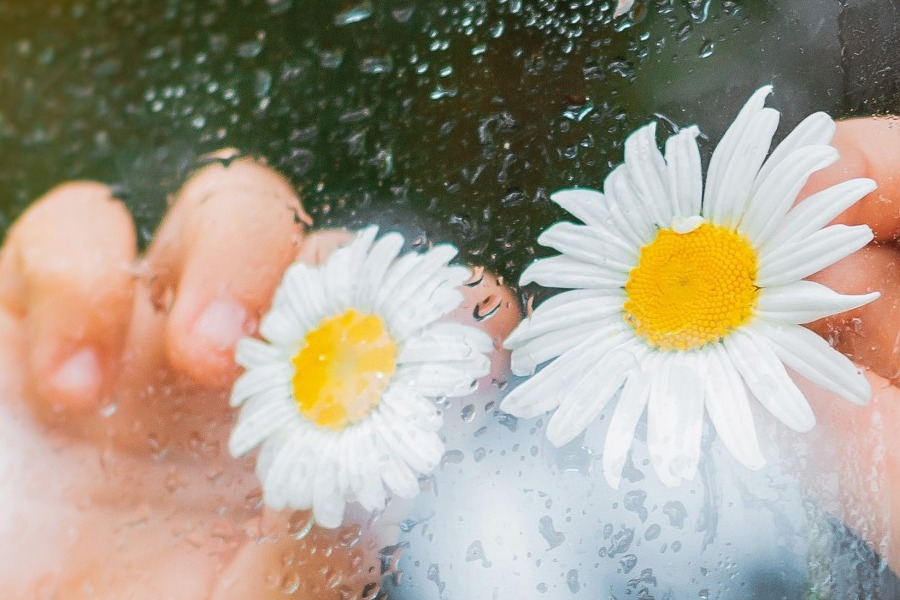 Καιρός: Μπαίνει για τα καλά η άνοιξη – Πότε θα δούμε ηλιοφάνεια και πότε βροχές