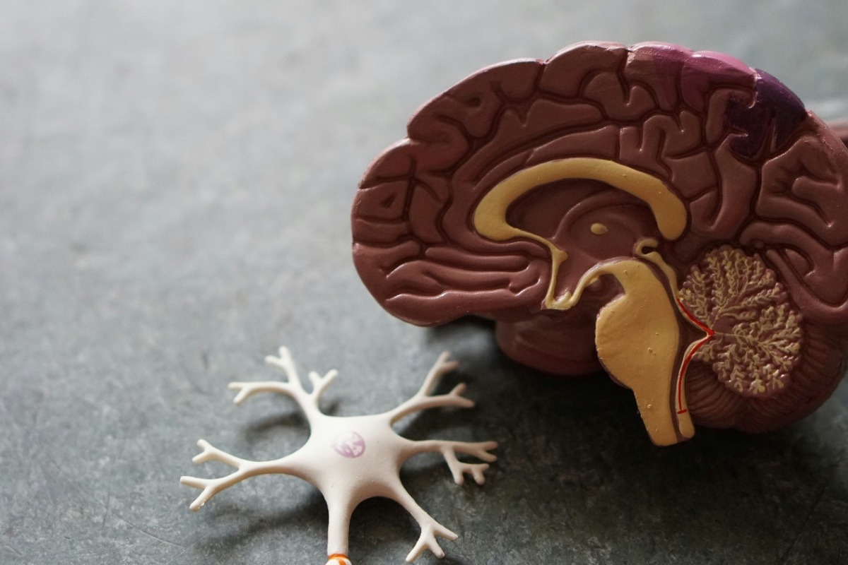 Η καθημερινή συνήθεια που μπορεί να «καθυστερήσει» το Alzheimer έως και 5 χρόνια