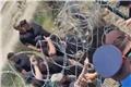 Επεισόδια στην Αλβανία για την ανέγερση τουριστικού συγκροτήματος – Τραυματίστηκε Έλληνας ομογενής