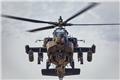 Αμερικανικό ελικόπτερο Apache κατέπεσε κοντά στα Στενά του Ορμούζ