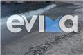 Χιλιάδες νεκρά ψάρια ξεβράστηκαν σε παραλία της Εύβοιας - Bίντεο και φωτογραφίες