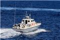 Πειραιάς: Εμπλοκή άγκυρας στο Blue Star Naxos - Tαλαιπωρία για 514 επιβάτες