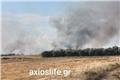 Φωτιά τώρα στον Βαθύλακκο Θεσσαλονίκης, σηκώθηκαν τρία εναέρια