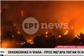 Φωτιά Αττικοβοιωτία: Οι φλόγες κατεβαίνουν στον κάμπο Μεγάρων - Πάνω από 66.000 καμένα στρέμματα