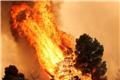 Καιρός «hot – dry – windy» τις επόμενες 48 ώρες: Αυξημένος ο κίνδυνος φωτιάς, συναγερμός σε 6 περιφέρειες