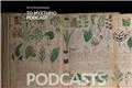 Το Μυστήριο Podcast: Το απόκοσμο χειρόγραφο Βόινιτς