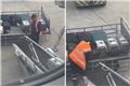 Viral στο αεροδρόμιο «Ελευθέριος Βενιζέλος»: Εργαζόμενος χαϊδεύει διασωθέντα ζώα που έφτασαν με πτήση