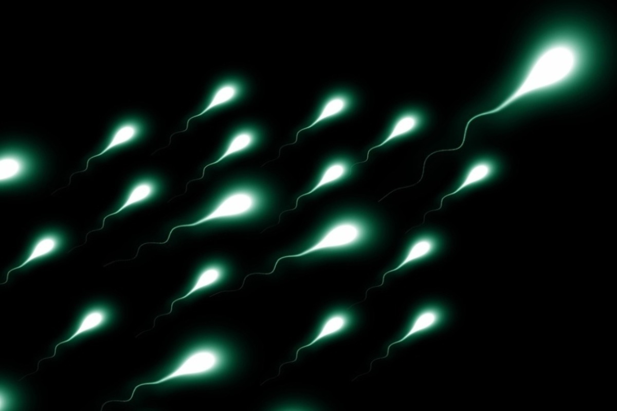 Τι δείχνει έρευνα του πανεπιστημίου της Οξφόρδης για τη συχνή εκσπερμάτιση