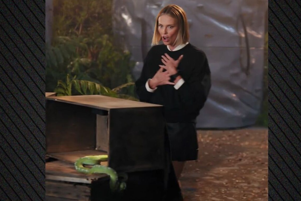 Σαρλίζ Θερόν: Τα ουρλιαχτά της όταν άγγιξε φίδι σε challenge του Netflix, δείτε βίντεο