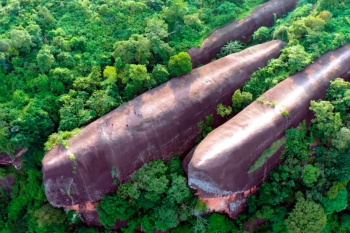 Πώς σχηματίστηκαν οι τρεις εντυπωσιακές «φάλαινες» της Ταϊλάνδης που μοιάζουν να... κολυμπούν μέσα στο δάσος