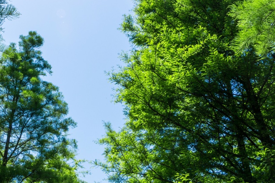 Τα ζώδια σήμερα 2/4: Σήμερα έχεις τη διάθεση να ξεχωρίσεις