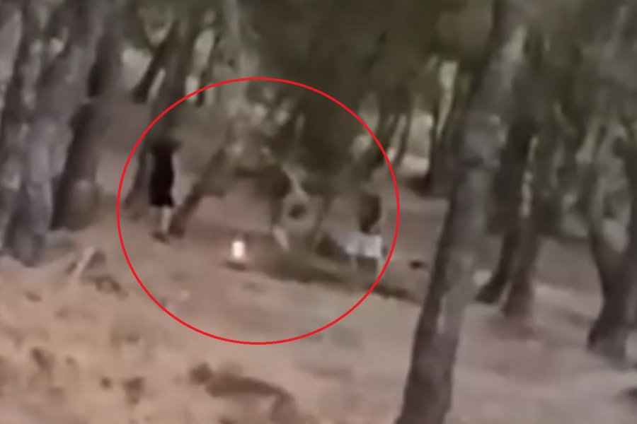 Ανήλικοι έβαζαν φωτιά σε δάσος στα Βριλήσσια – Το επικίνδυνο challenge που σόκαρε - Τρεις έφηβοι καταγράφηκαν σε βίντεο να παίζουν με τη φωτιά μέσα σε πυκνό πευκοδάσος στην λεωφόρο Πεντέλης, με την υπόθεση να ερευνά η Διεύθυνση Αντιμε